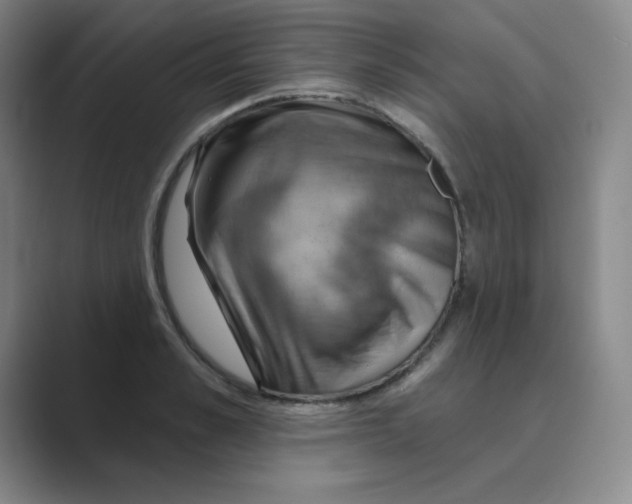 X0000088690989200706281959