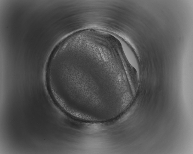 X0000088690991200706281959