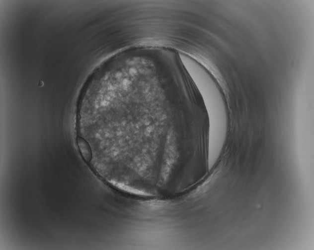 X0000088690992200706281959