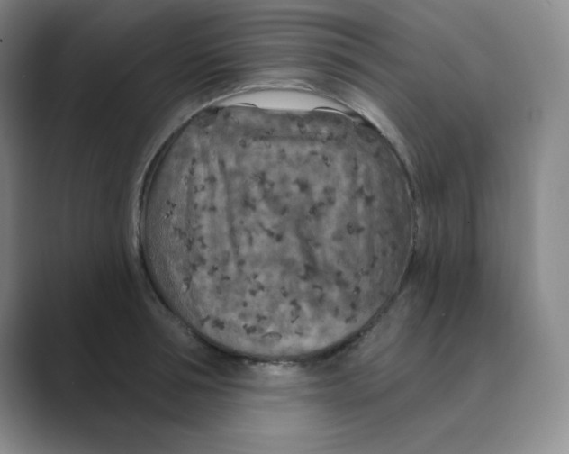X0000088690994200706281959