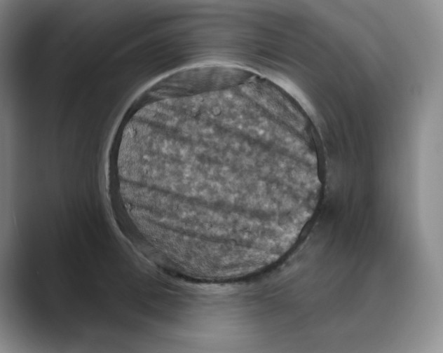 X0000088690996200706281959