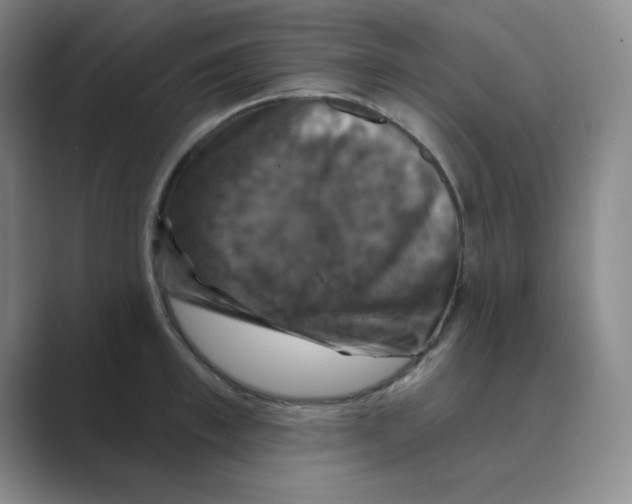 X0000088690997200706281959