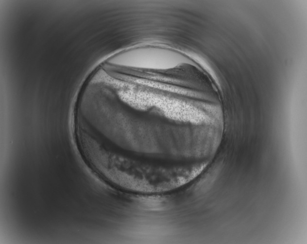 X0000088690999200706281959