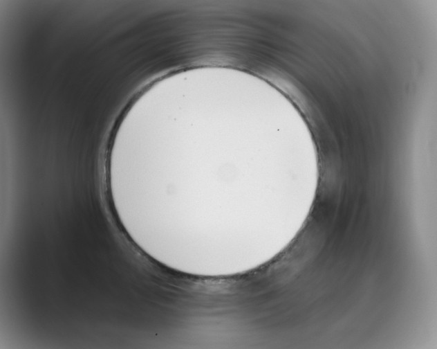 X0000088691000200706281959