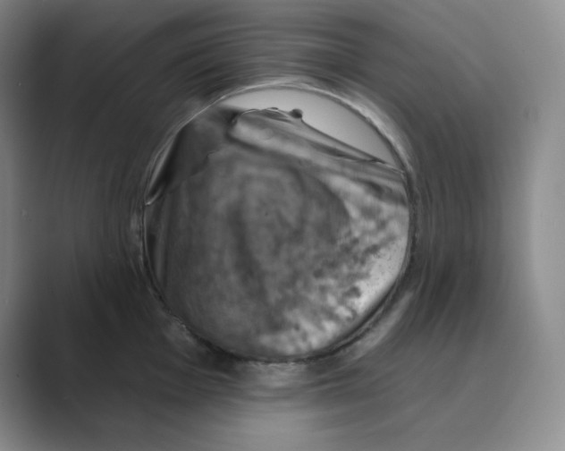 X0000088691001200706281959