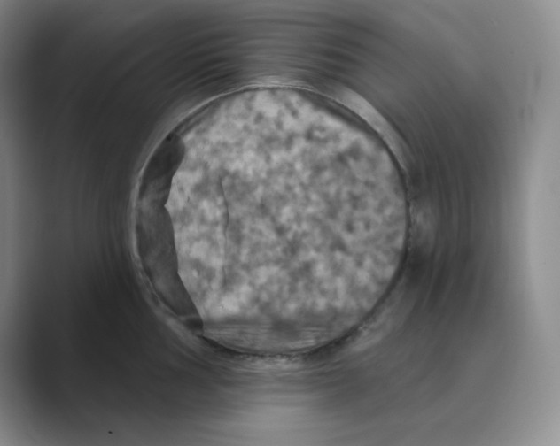 X0000088691002200706281959
