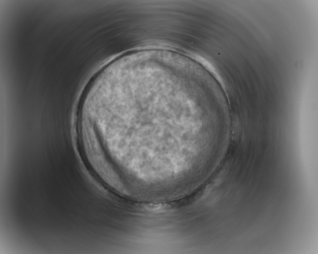 X0000088691003200706281959
