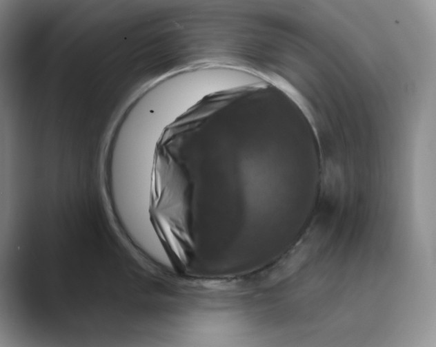 X0000088691005200706281959