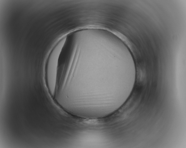 X0000088691006200706281959