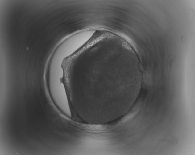 X0000088691007200706281959