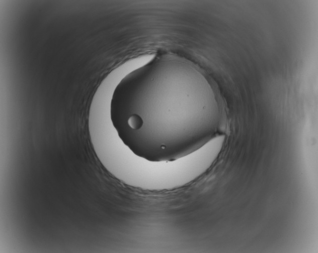 X0000088691010200706281958