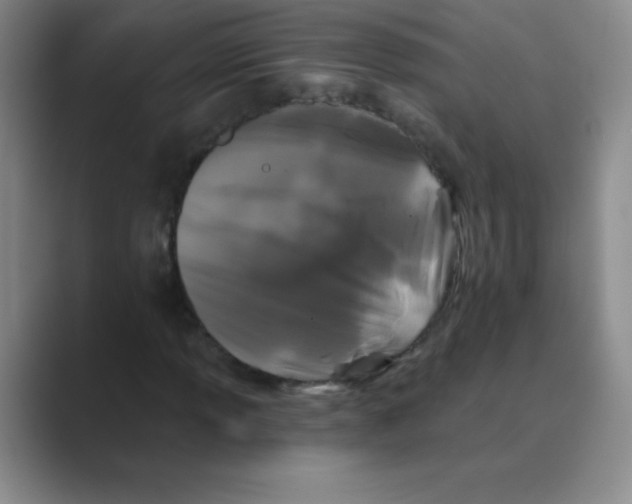 X0000088691013200706281958
