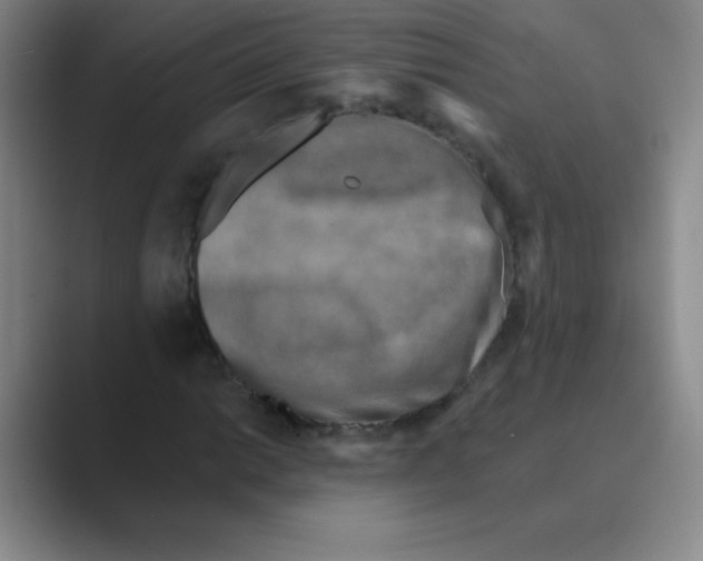 X0000088691014200706281958