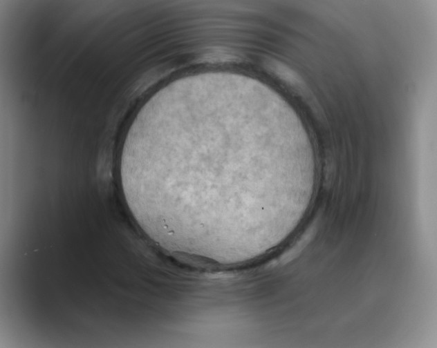 X0000088691017200706281958