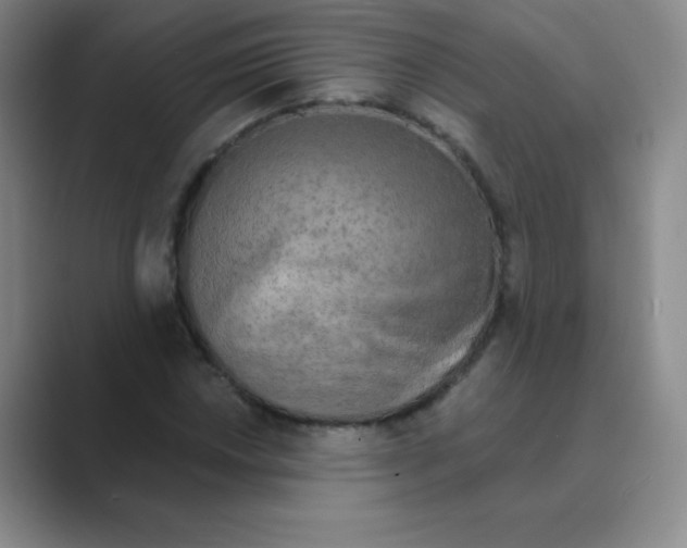 X0000088691018200706281958