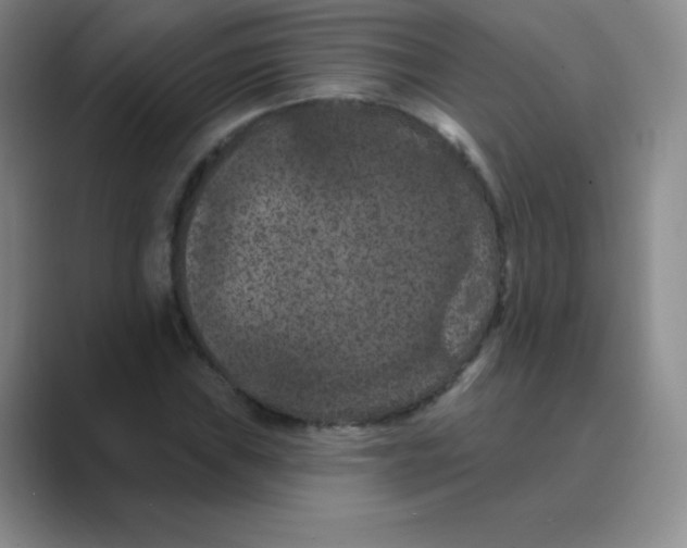 X0000088691019200706281958