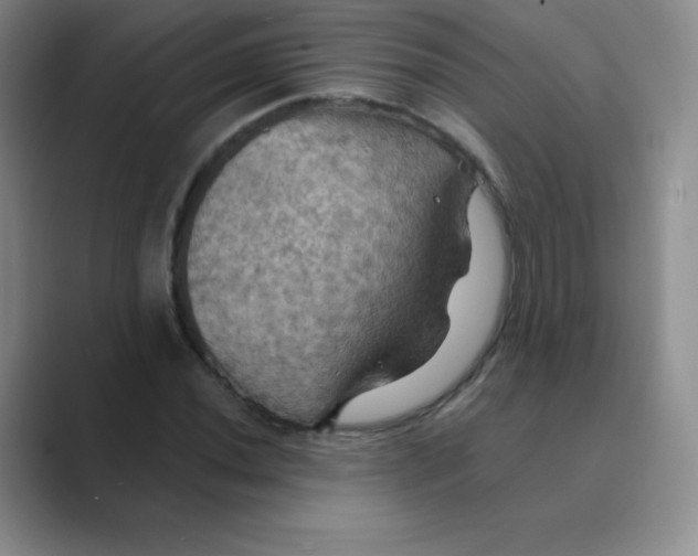 X0000088691020200706281958