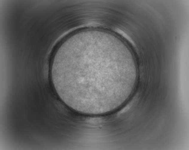 X0000088691021200706281958