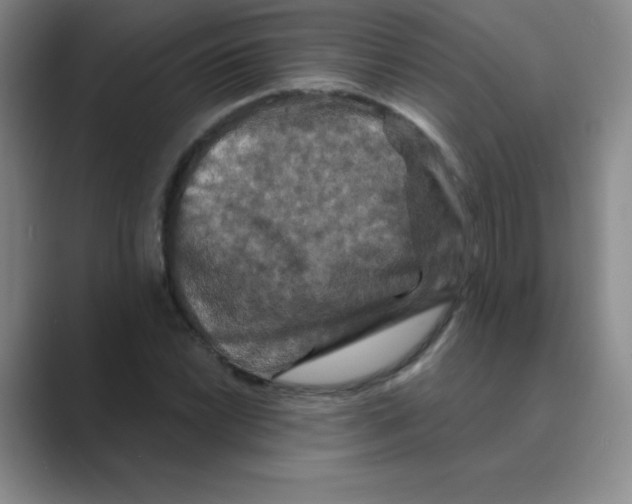 X0000088691022200706281958