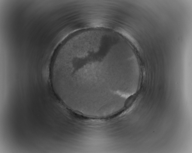 X0000088691023200706281958