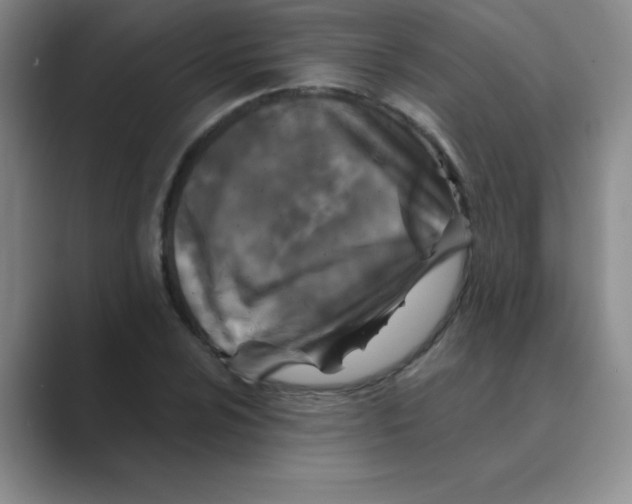 X0000088691024200706281958