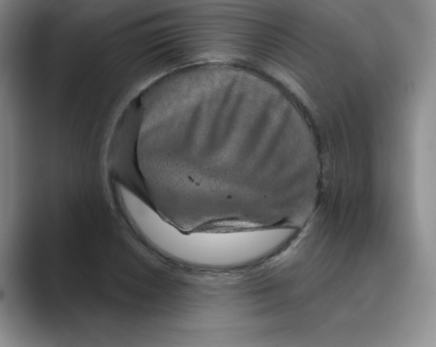 X0000088691026200706281958