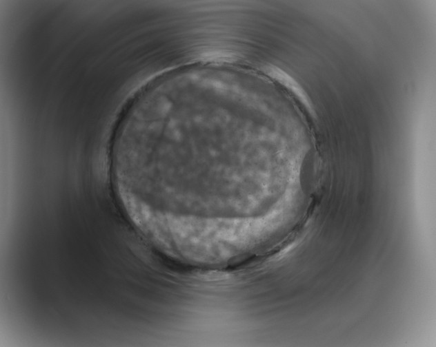 X0000088691027200706281958