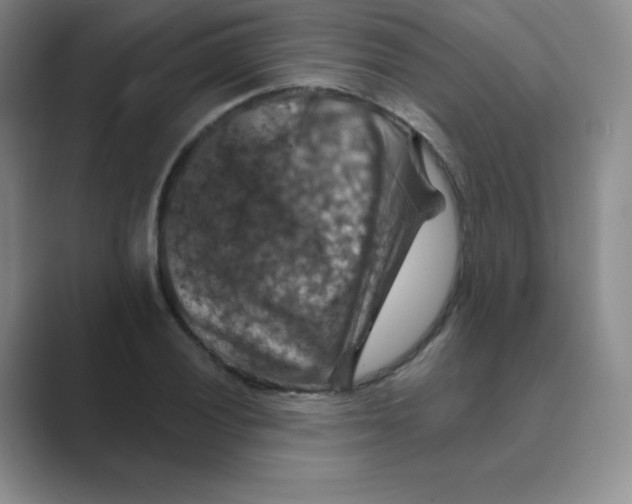 X0000088691028200706281958