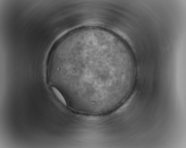 X0000088691029200706281958