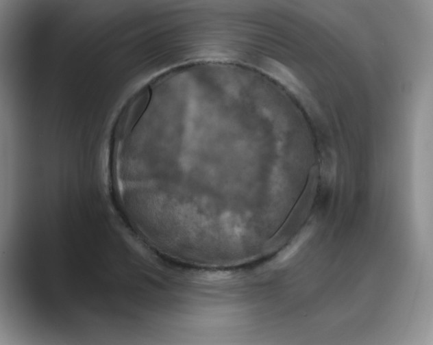 X0000088691030200706281958