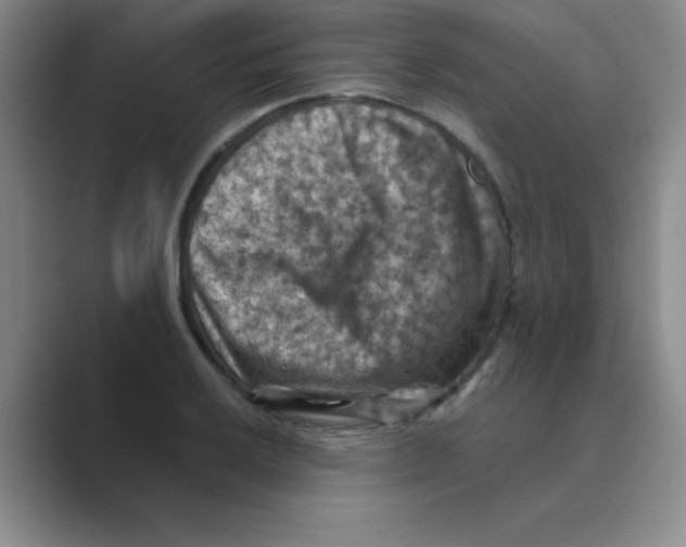 X0000088691032200706281958