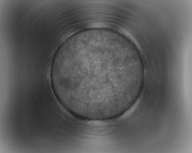 X0000088691033200706281958