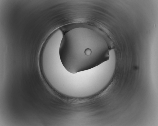 X0000088691034200706281958