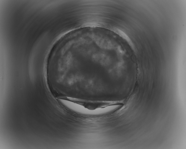 X0000088691035200706281958