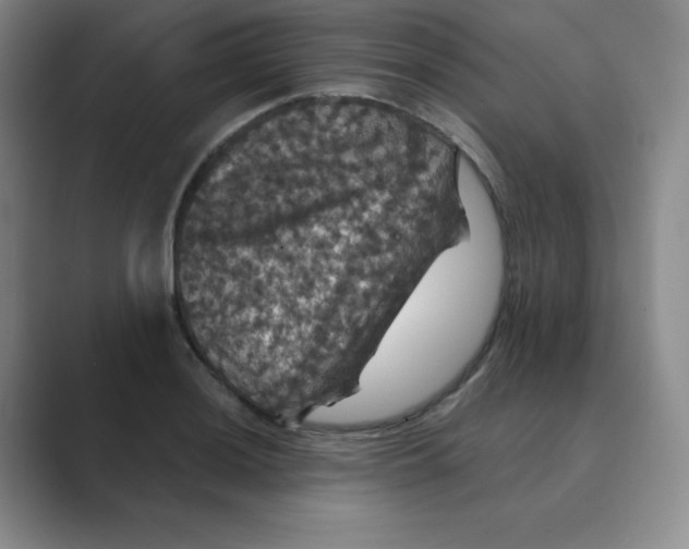 X0000088691036200706281958
