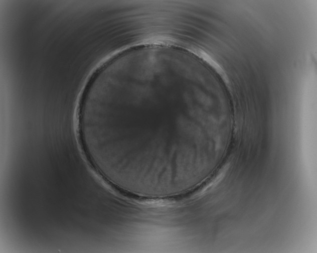 X0000088691037200706281958