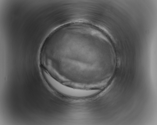 X0000088691038200706281958