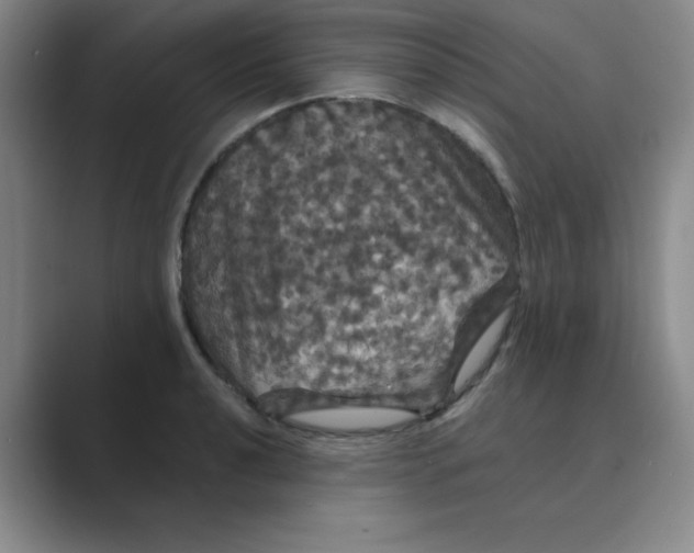 X0000088691040200706281958