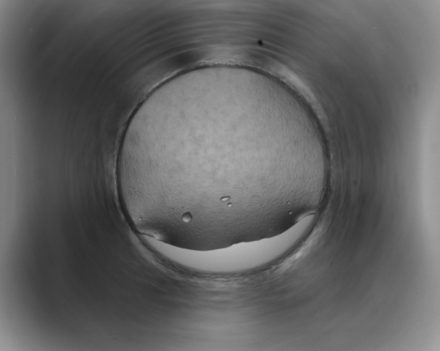 X0000088691041200706281958