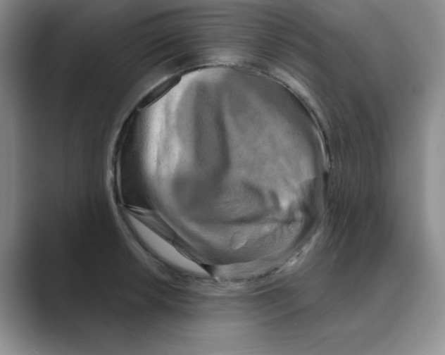 X0000088691042200706281958