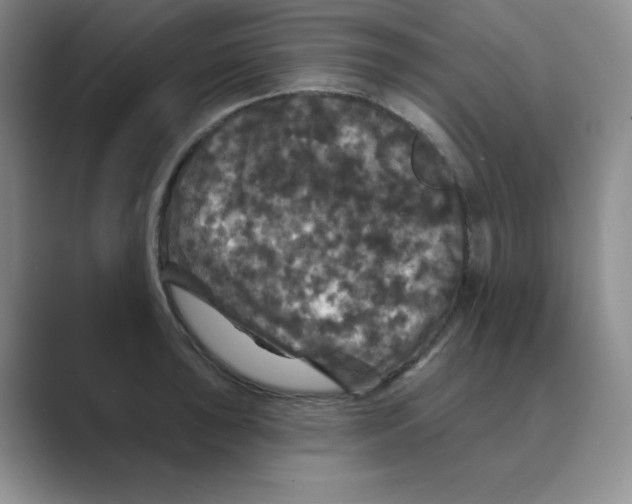 X0000088691043200706281958