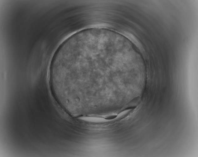 X0000088691044200706281958