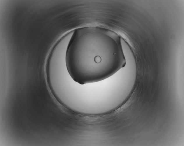 X0000088691046200706281958