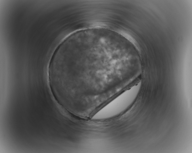 X0000088691047200706281958