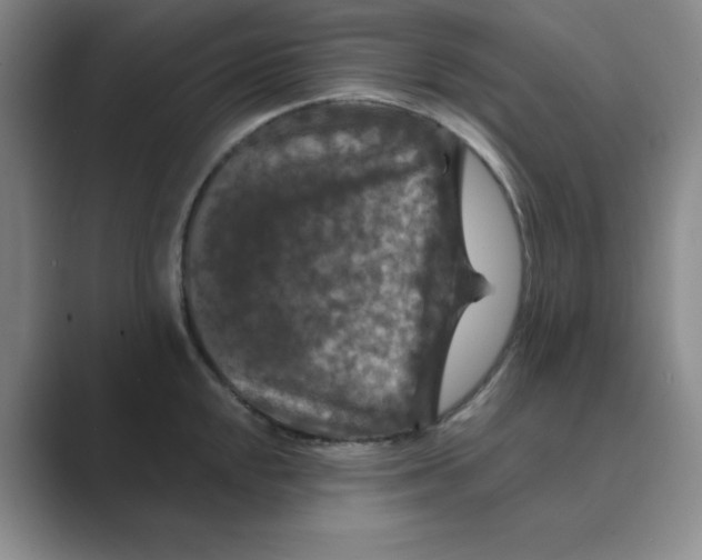 X0000088691048200706281958