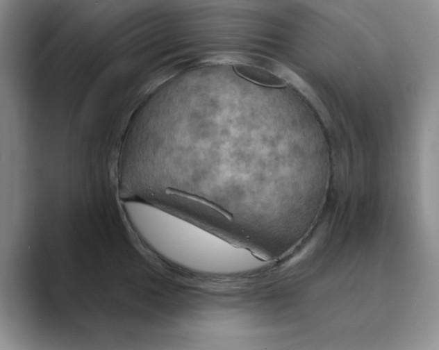 X0000088691049200706281958
