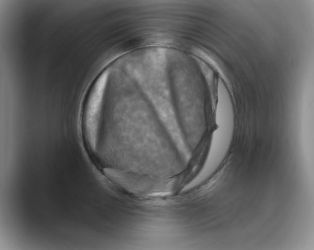 X0000088691050200706281958
