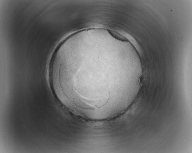 X0000088691051200706281958