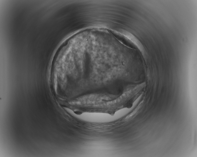 X0000088691052200706281958