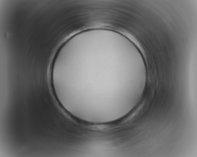 X0000088691053200706281958